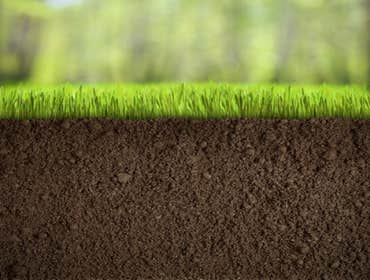 best topsoil