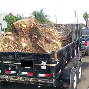 Clean Ups