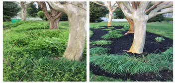 AP Landscapers, Lawn Care & Landscaping Service