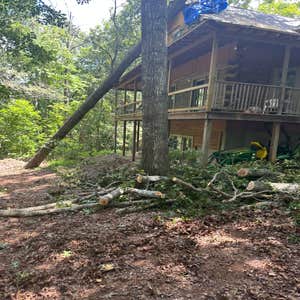 Photos by R Lasawi Tree Service LLC #3