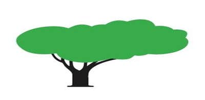 Green Magic Lawn and Landscape - SavATree