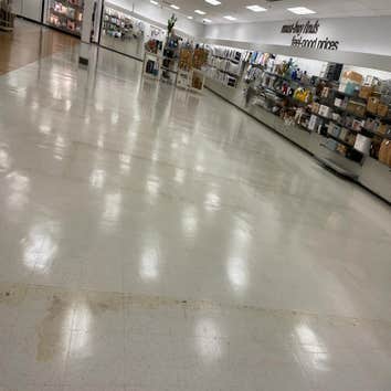 Photos by Leonides Carpet and Floor Cleaning LLC #1