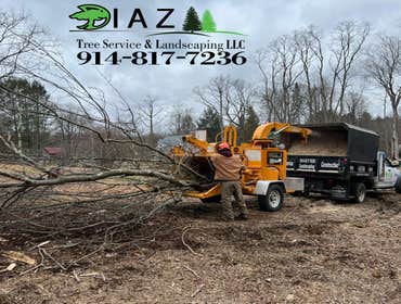 Photos by Diaz Tree Service & Landscaping LLC #22