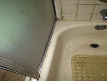 Bathroom mold removal