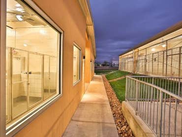 Animal Defense League Kennel Project
