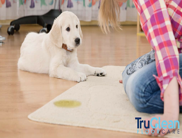 Photos by TruClean Carpet Tile & Grout Cleaning #1