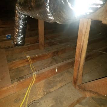 Attic Cleaning & Decontamination - West Covina