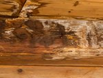 Photos by Citywide Painting and Remodeling LLC #1