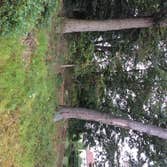 Tree Service South Jersey