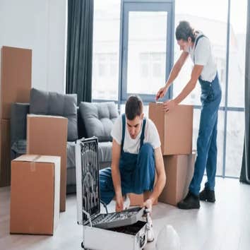 Hollywood Fl Movers