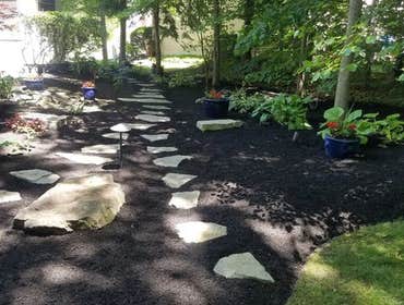 Photos by Jm Landscape and Tree Services #1