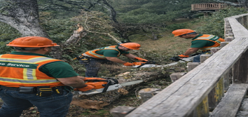C&C Tree Solutions