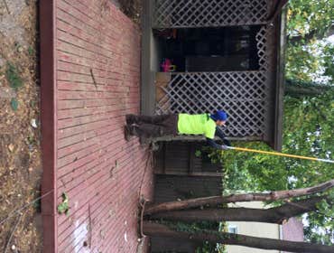 Tree Service South Jersey