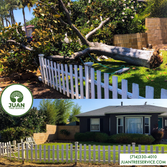 Emergency Tree Removal