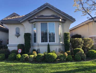 Photos by Efrain Tree Services #1