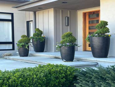 Photos by Hernandez ASSOC. Landscaping