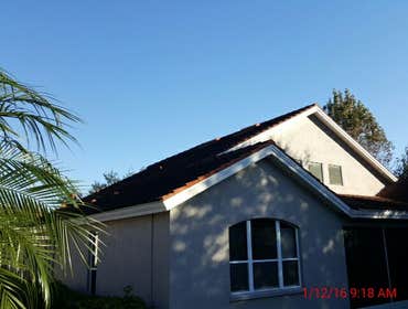 Photos from Popa Construction LLC Before & Afters of a soft wash roof cleaning and driveway and side walk cleaning.