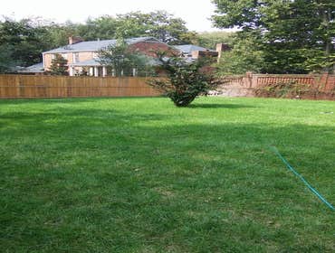 Sod Landscape