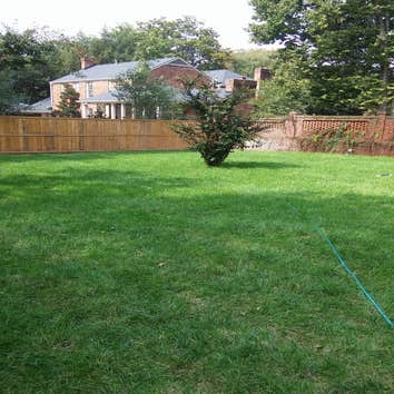 Sod Landscape
