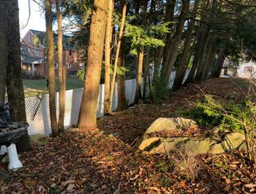 Fences