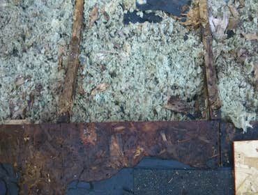roofing Here is a completly rotted out roof replaced all the sheeting and re-did all the truss' as well