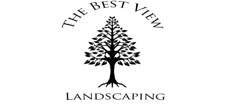 Photos by the Best View Landscaping #1