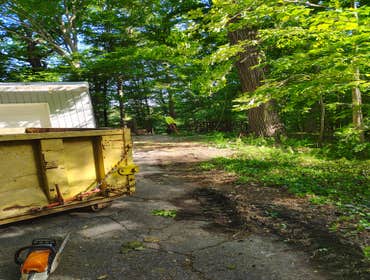 Flores Tree Services General & Landscaping