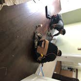 Photos by Structural Concepts Design Build Corp #2 Remodel to include a new dining room opening into a formal living room with floating wood floors, ne