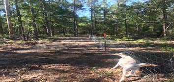 Brush cutting and clearing