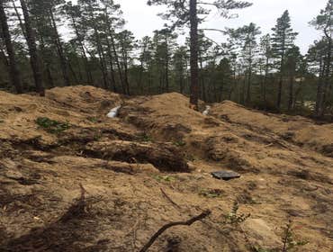 Drain field install may 2015