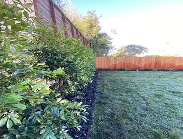 Landscaping
