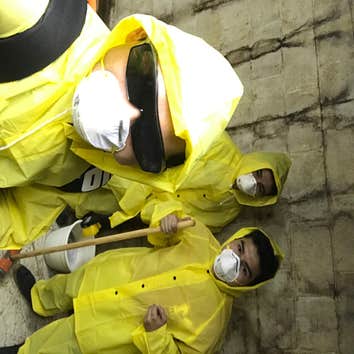 Mold cleaning and Treatment