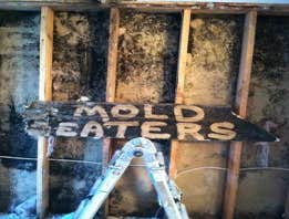 Photos by MoldEaters #1