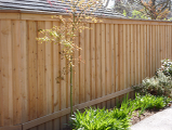 Fences