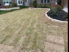 Photos by Jeremias Lawn Care Expert #1