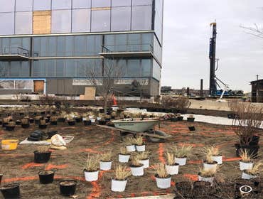 Photos by Arellano’s Future Landscaping #12