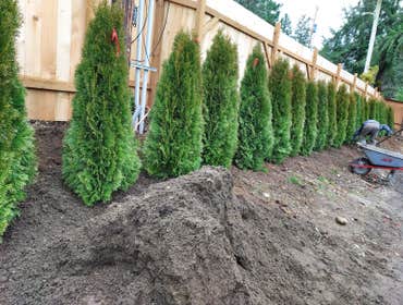 Photos by Pablo Landscaping LLC #11