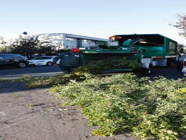 Photos by California Green Tree Care #1