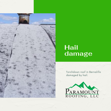 Photos by Paramount Roofing #1