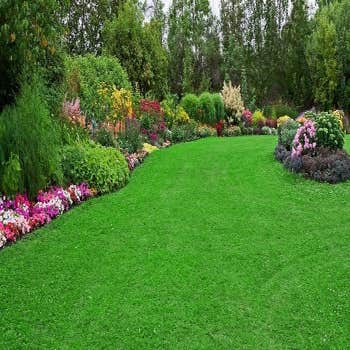 Photos by Miguel Landscaping LLC #1