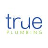 True plumbing Atlanta logo
