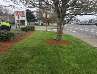 Photos by Osvaldo's Landscaping LLC #6