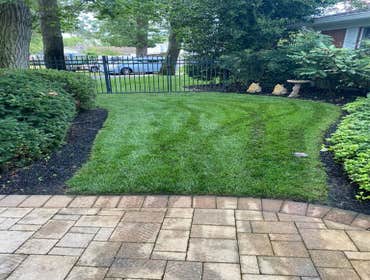 Photos by Sg Gonzalez Landscaping & Maintenance LLC #1