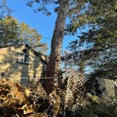 Suffolk Treework Li