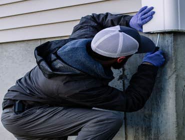 Photos by Green Shield Pest Solutions #1 We use family and pet-friendly products to eliminate pests from your home or business.