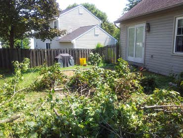 Photos from Mosey Landscapes, Inc.