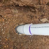 Plumb Twisted