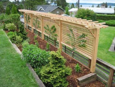 Lattice Garden Screen Pergola