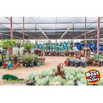 Desert Horizon Nursery Desert Horizon Nursery