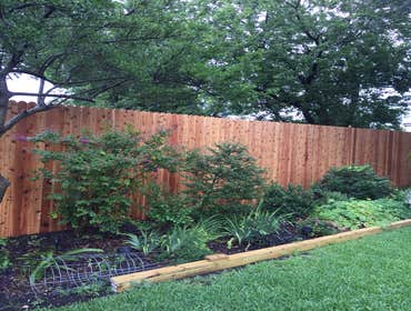 8' Cedar Fence with 10' steel poles